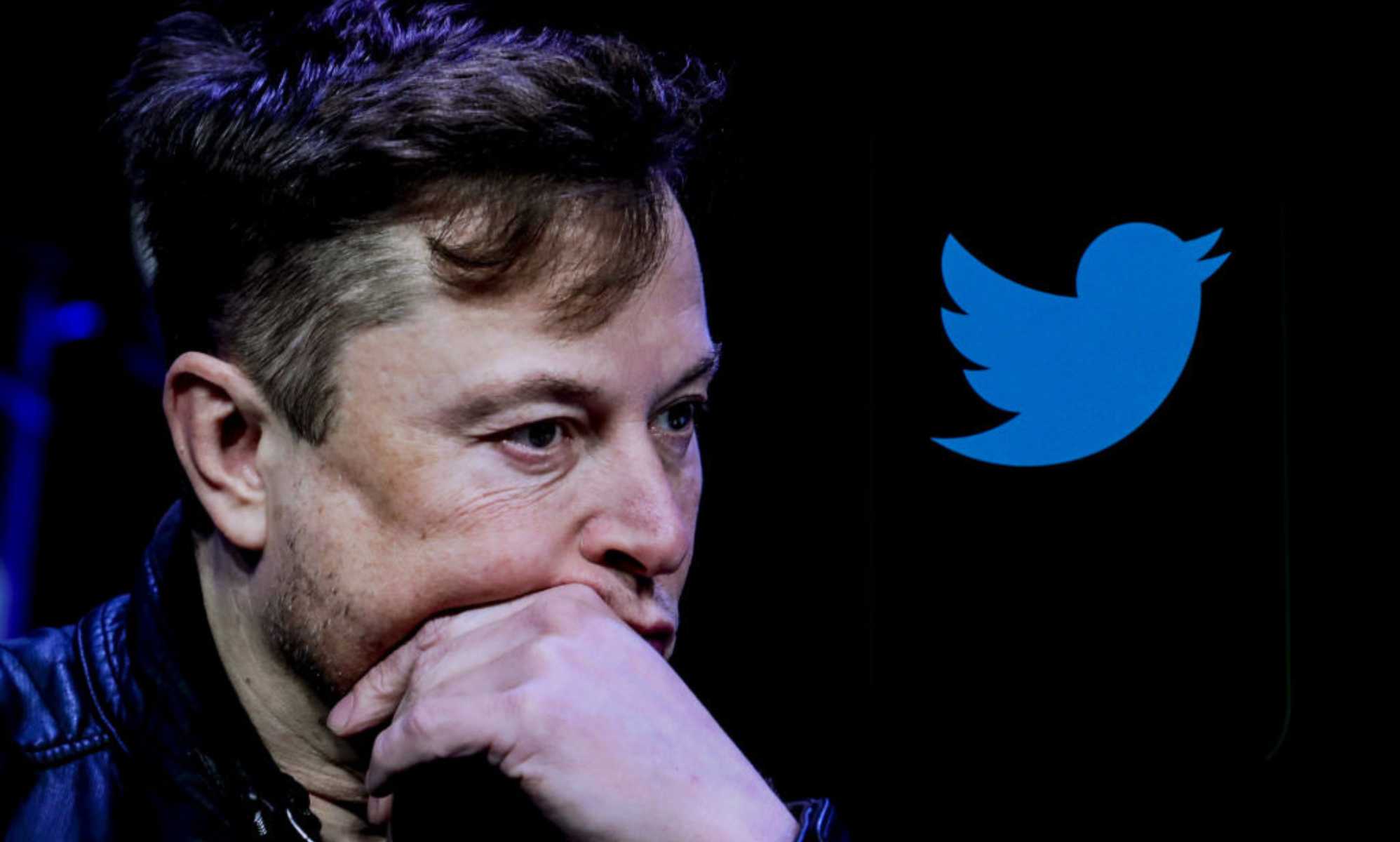 Elon musk twitter