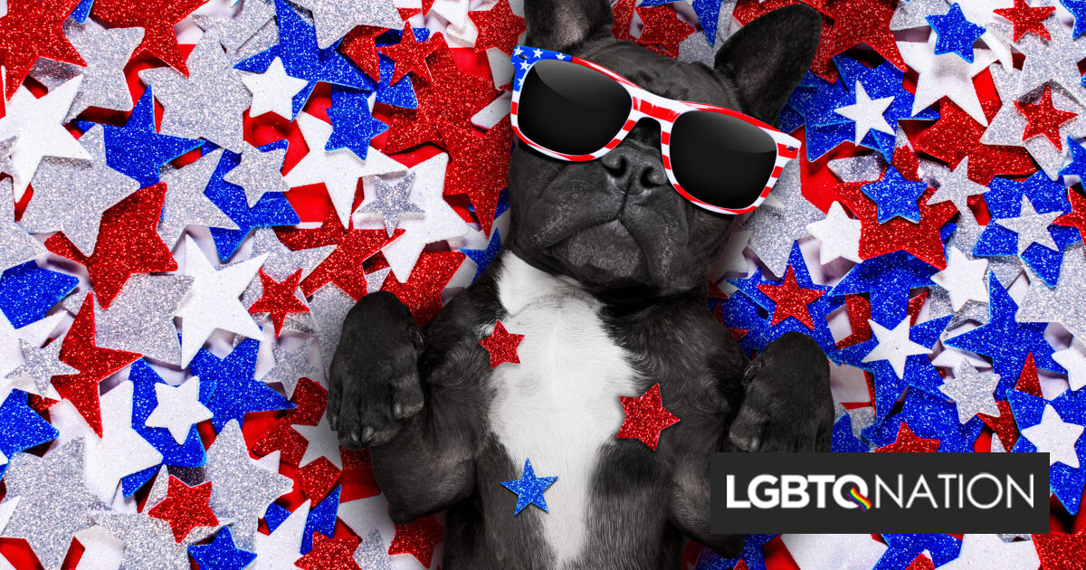 Celebra el Día de la Independencia con estos cachorros patrióticos