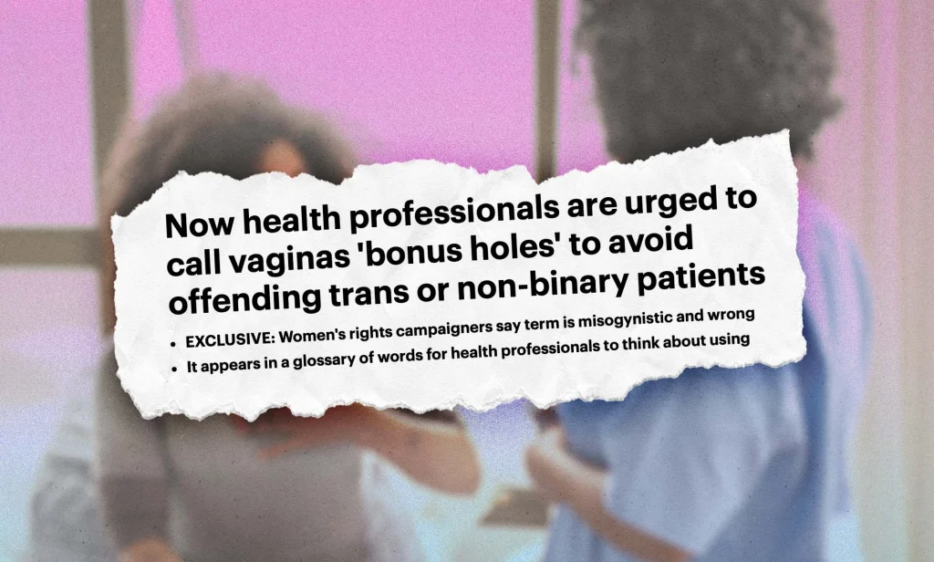 Screenshot of a Daily Mail article with the headline Now health professionals are urged to call vaignas bonus holes to avoid offending trans or non-binary patients