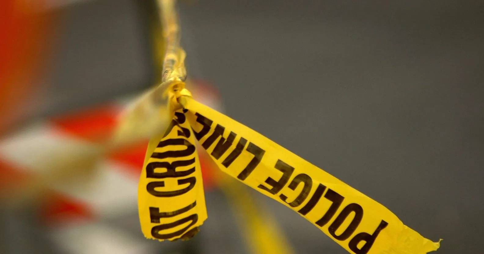 A closeup photo of a