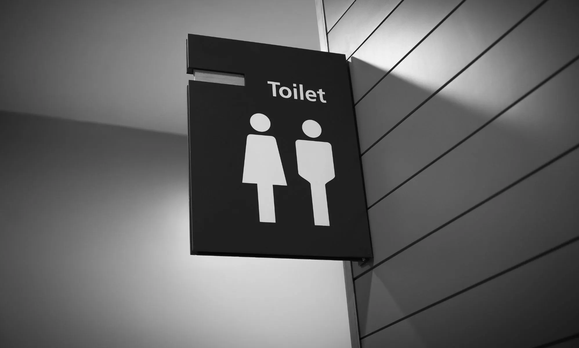 A gender neutral toilet sign.