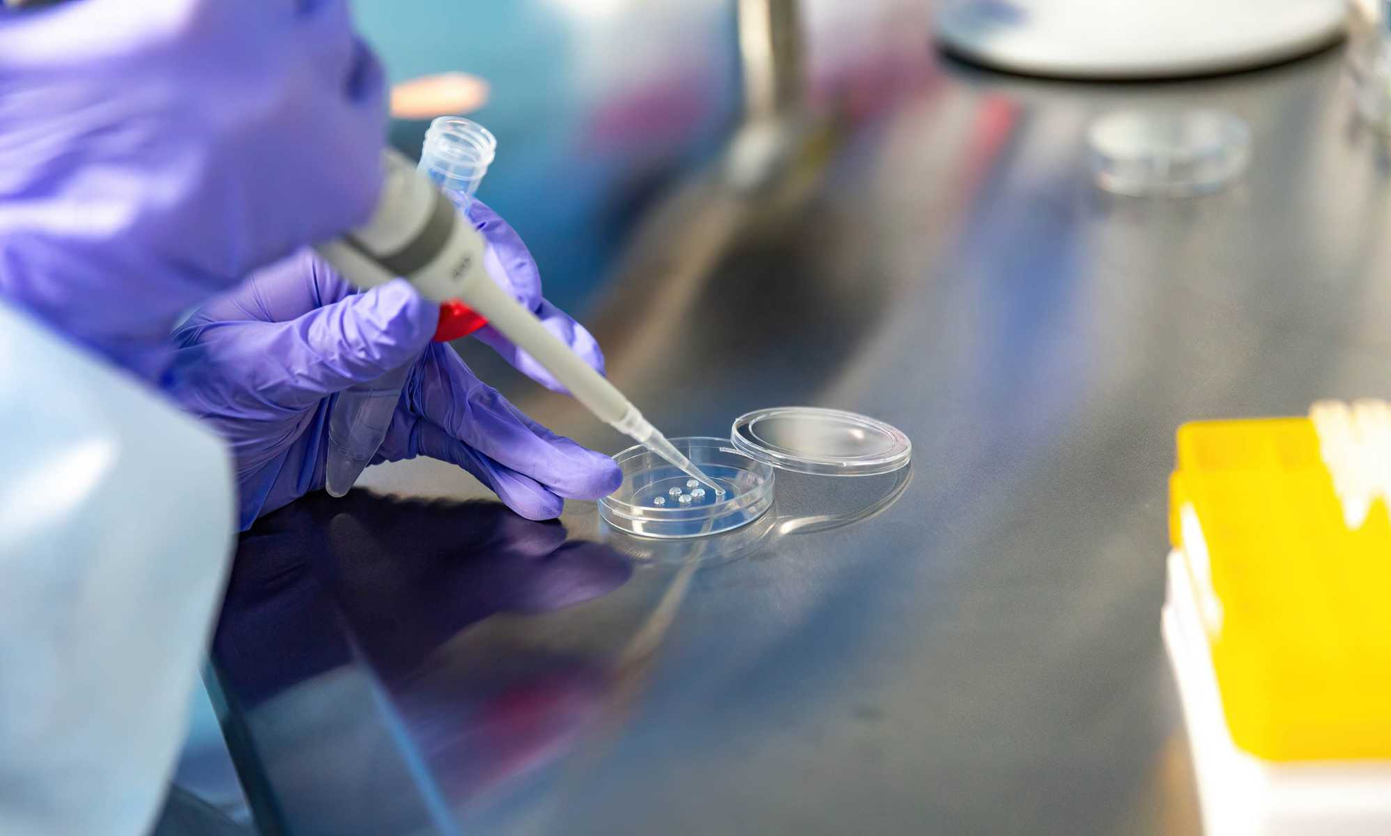 New information shared by the UK government shows deep disparities in access to IVF for female same-sex couples in regions in England.