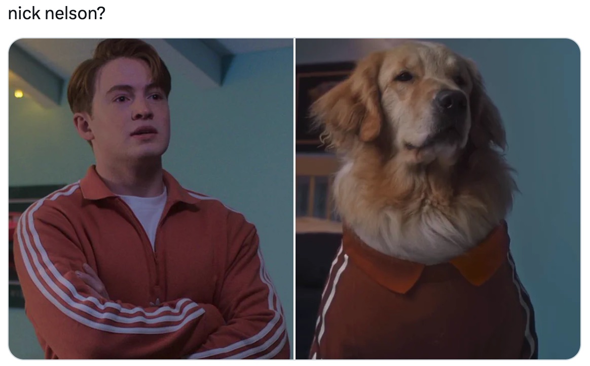 ¿Qué pasa si los perros actuaron Heartstopper? Así es como se vería