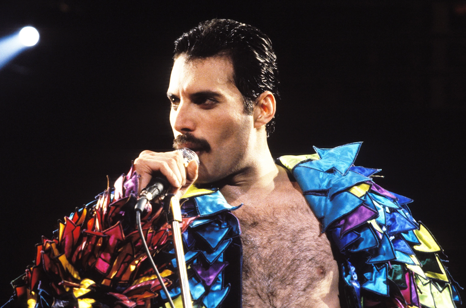 Freddie Mercury. (Steve Jennings/WireImage)