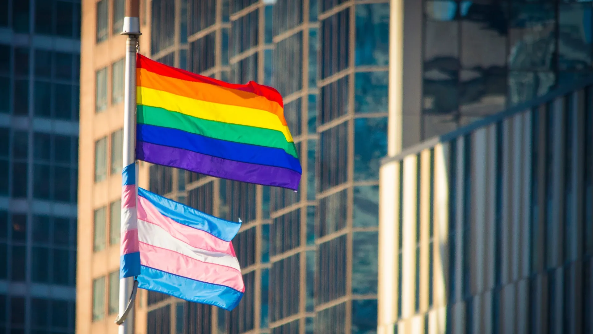 Rainbow and trans Pride flags