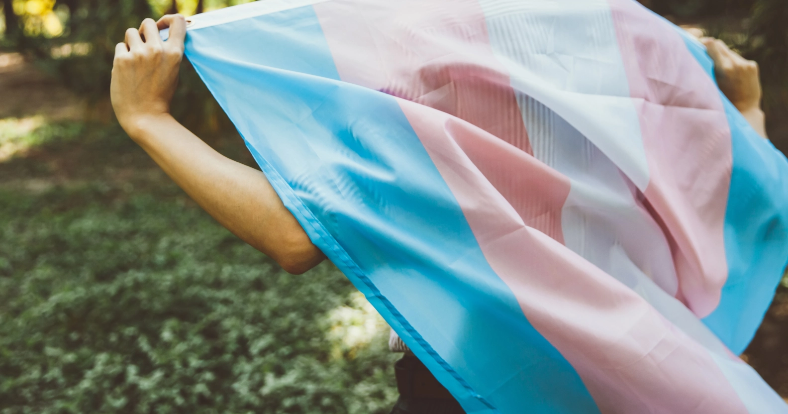 Trans flag
