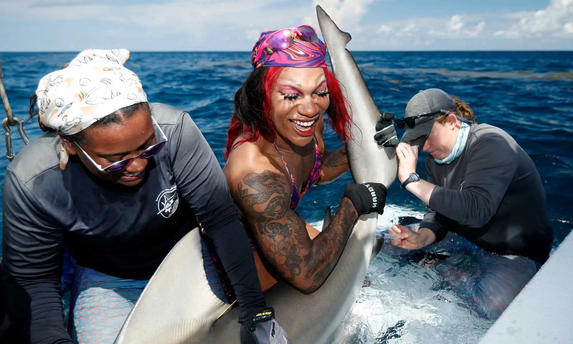 Shark tagging drag queen