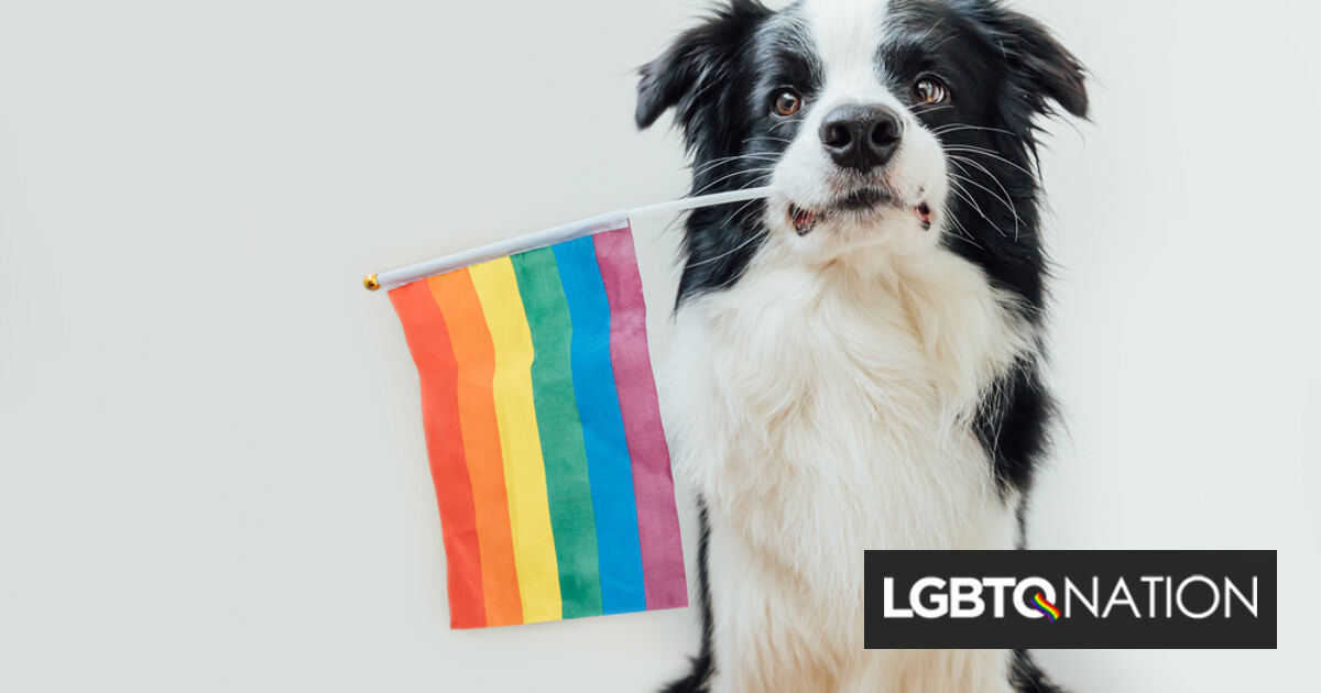 Estos papás de perros homosexuales son lo que necesitas para celebrar el Mes Nacional del Bienestar de las Mascotas