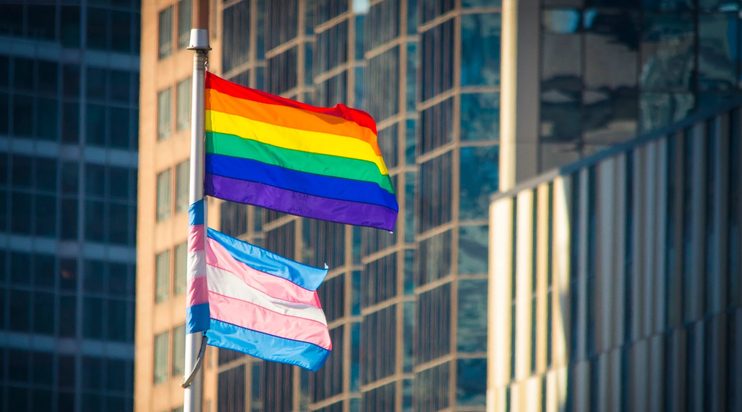 Rainbow flag and Trans flag on a flagpole in front of office buildings