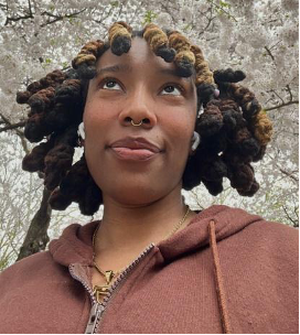 Foto de cabeza de Star Woods