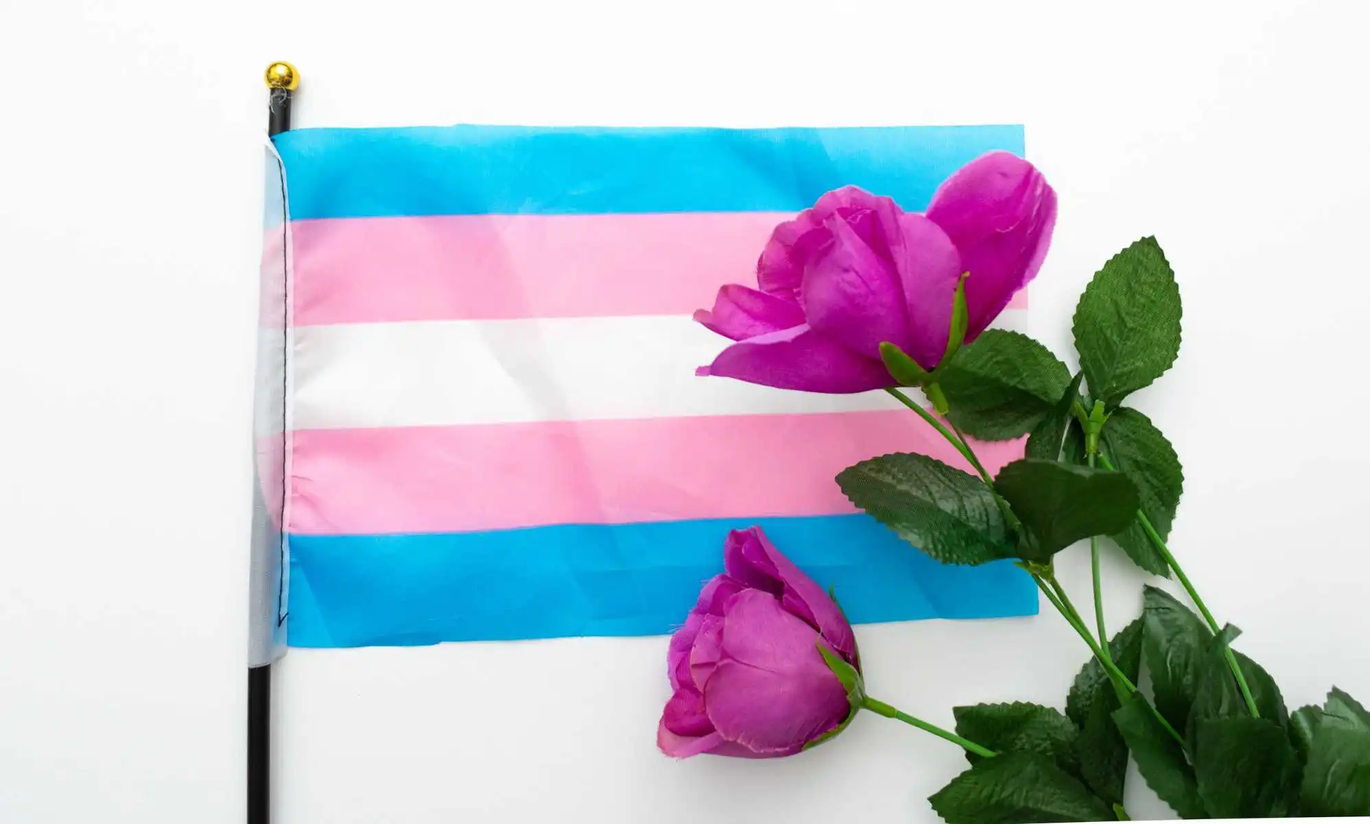 Mujer trans se quitó la vida mientras esperaba acceder a los servicios de género del NHS