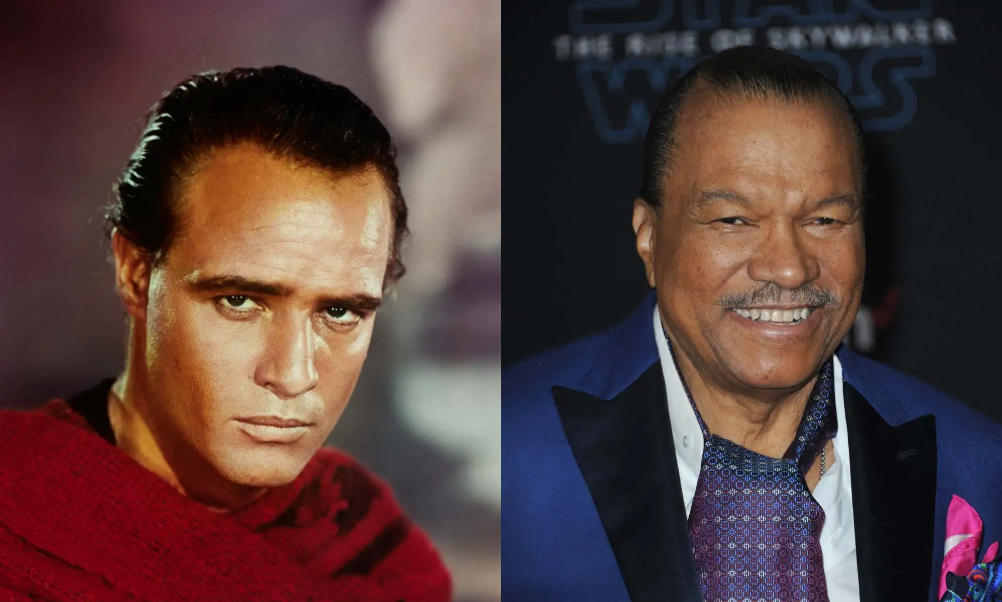 Billy Dee Williams has said he was once