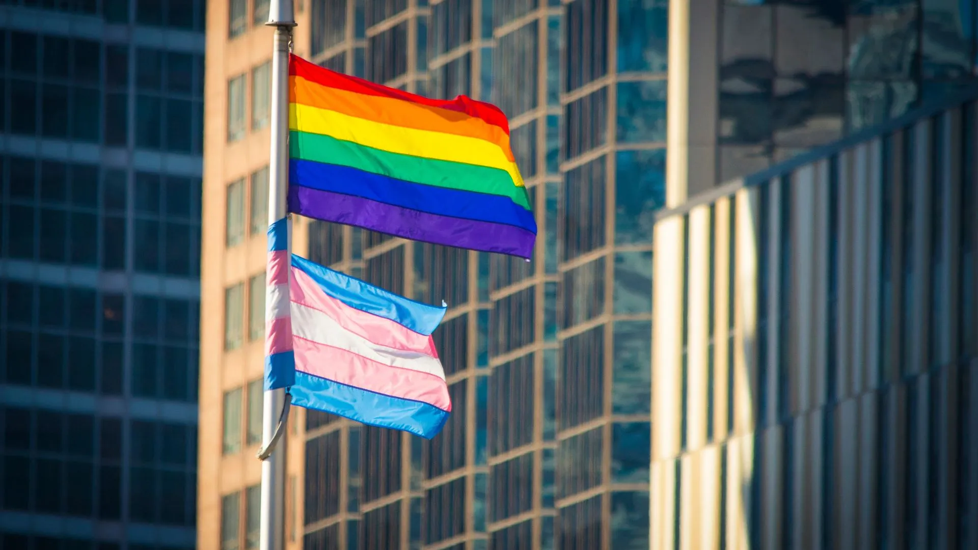 Stock image of LGBTQ+ flag and trans flag on a pole