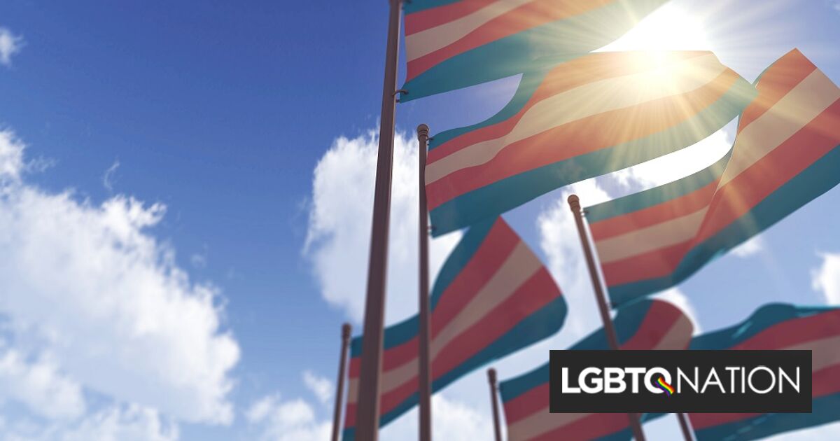 Un tribunal japonés permite a un hombre trans actualizar su género en documentos oficiales sin cirugía en un caso histórico