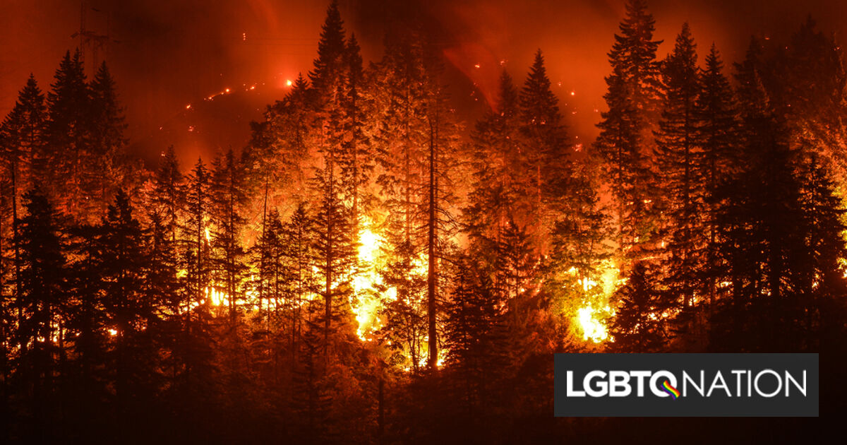 Una pareja debe pagar 1,8 millones de dólares por una revelación de género que salió terriblemente mal