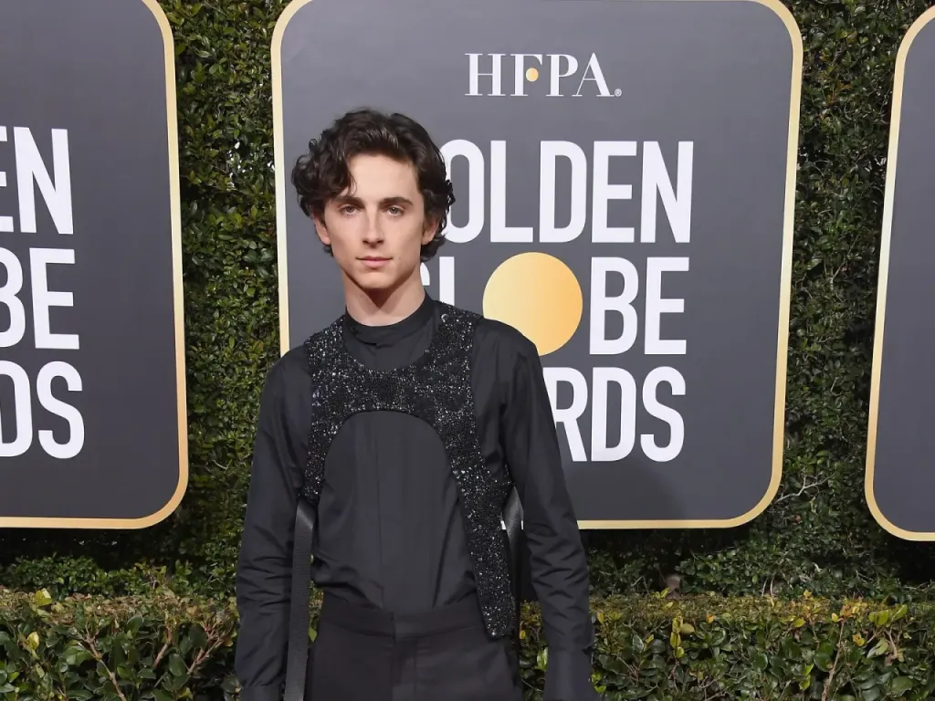 Timothee Chalamet en los Globos de Oro 2019