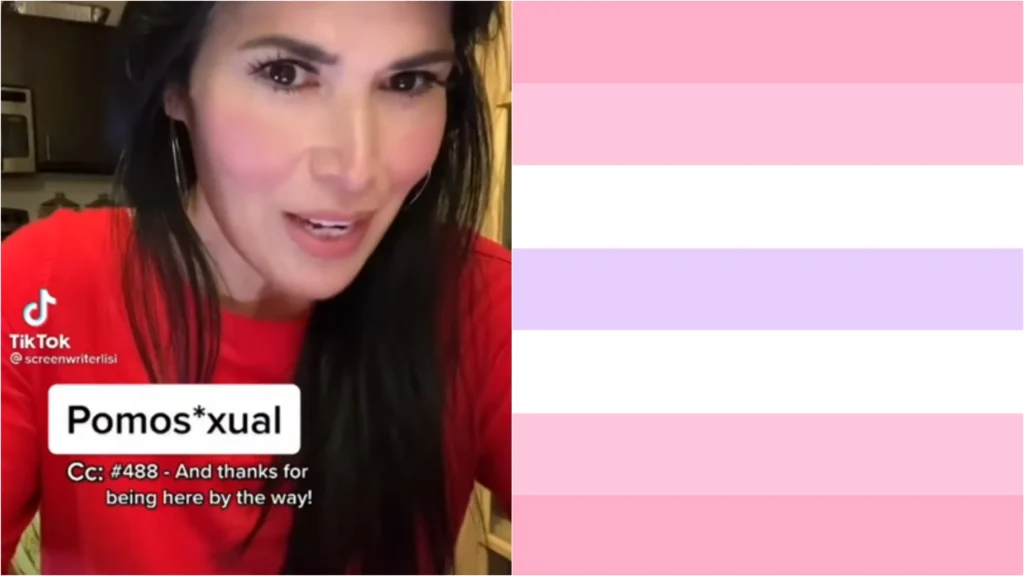 Image shows a woman with long dark hair on the left, explaining pomosexuality on TikTok. On the right is the Pomosexual Pride flag