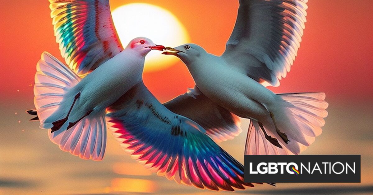 La historia detrás de “Lesbian Seagull”: Una canción de amor y polémica