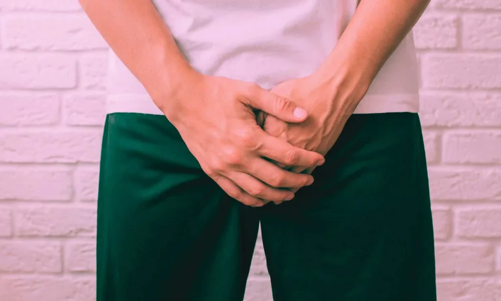 Researchers have found microplastics in canine and human testicular tissue