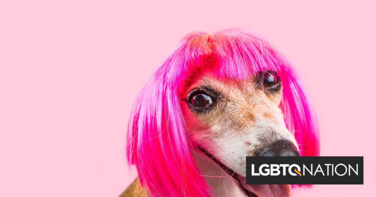 Hermosos aliados, victorias personales y grandes triunfos hacen que el verano sea brillante.