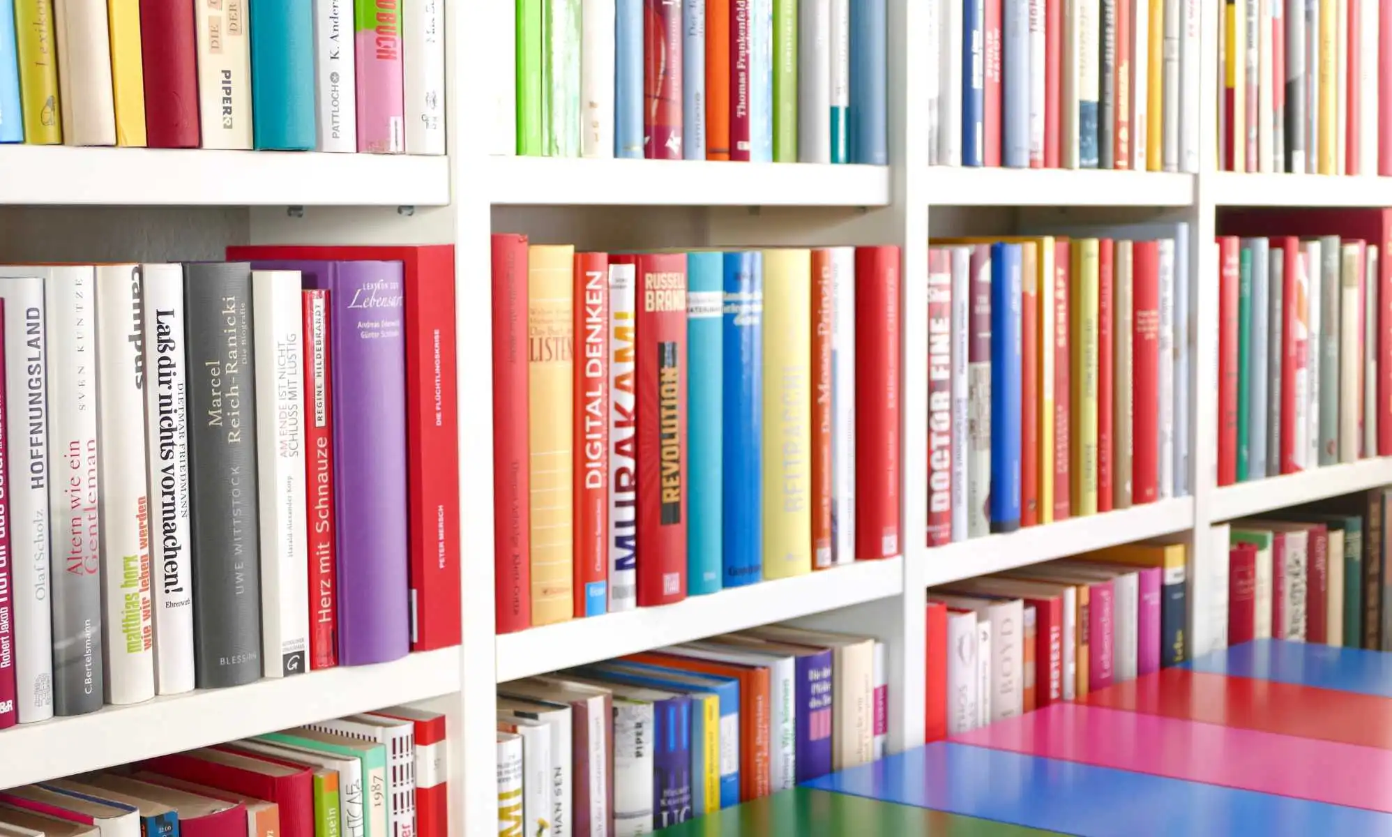 Este libro es gay, entre los títulos LGBTQ+ que se enfrentan a prohibiciones en el Reino Unido, según un estudio