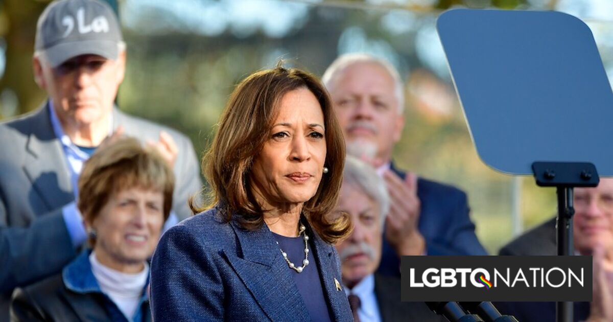 Hombre de MAGA grita violentas amenazas de muerte a hombres homosexuales que buscan a Kamala Harris