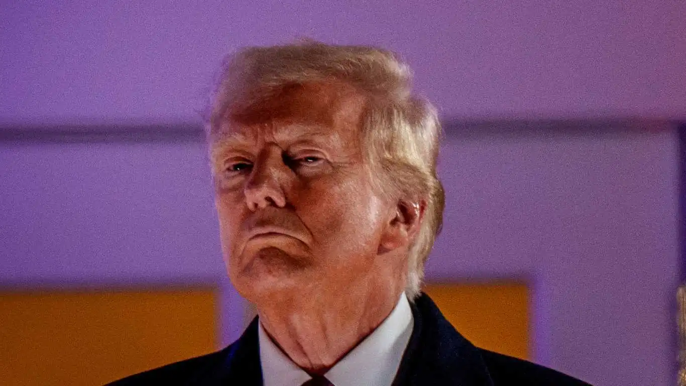 Donald Trump gazes into the camera.