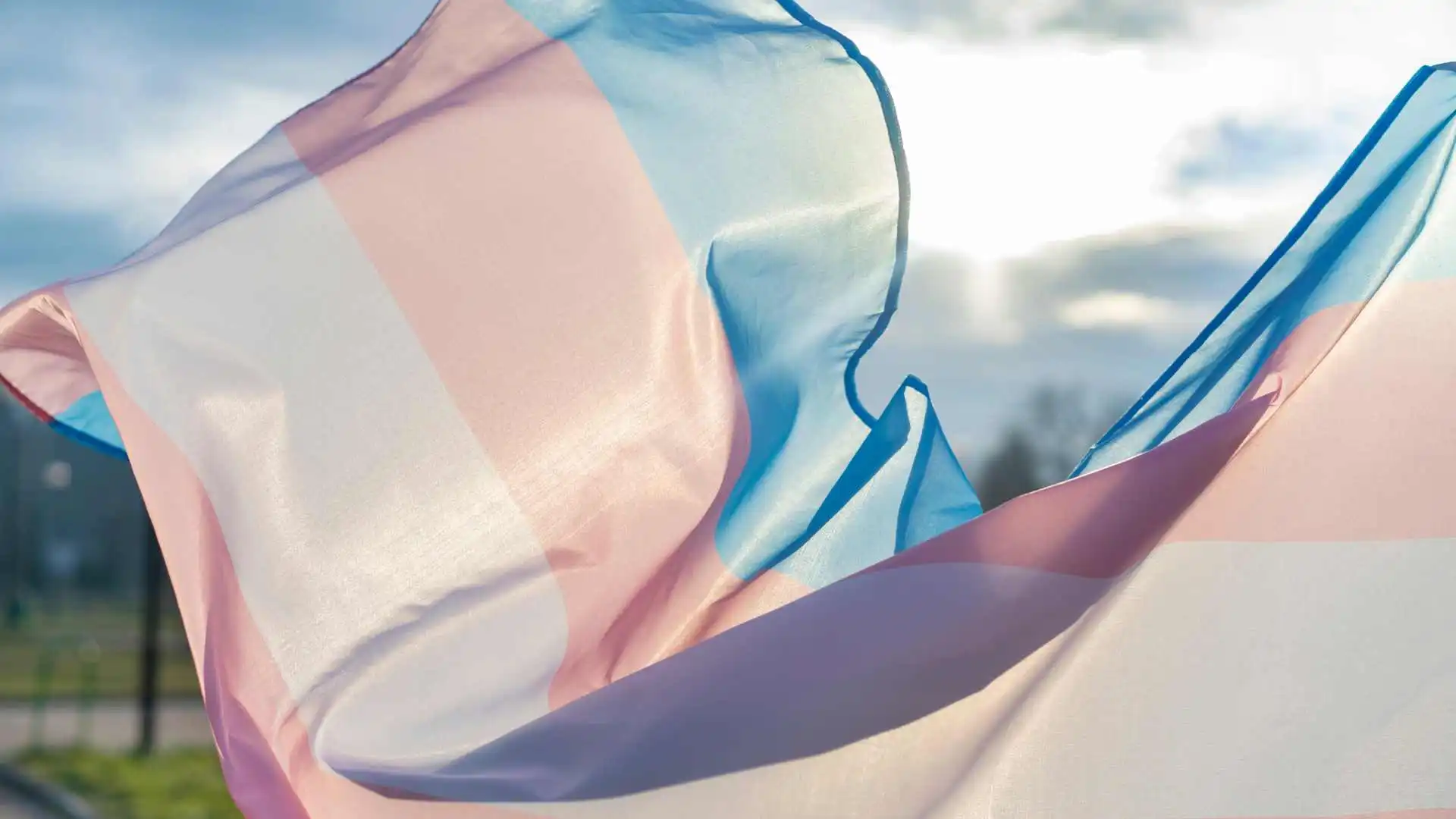 Un grupo de lesbianas crítico con el género no puede prohibir a las mujeres trans asistir a reuniones, dictamina el tribunal