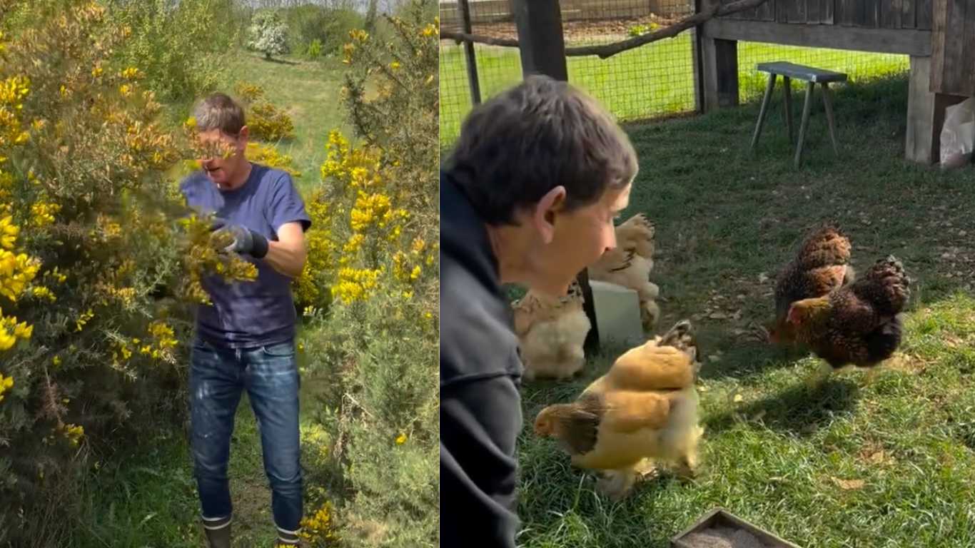 Ellen DeGeneres has shared a glimpse into her farm life following her move to the UK.
