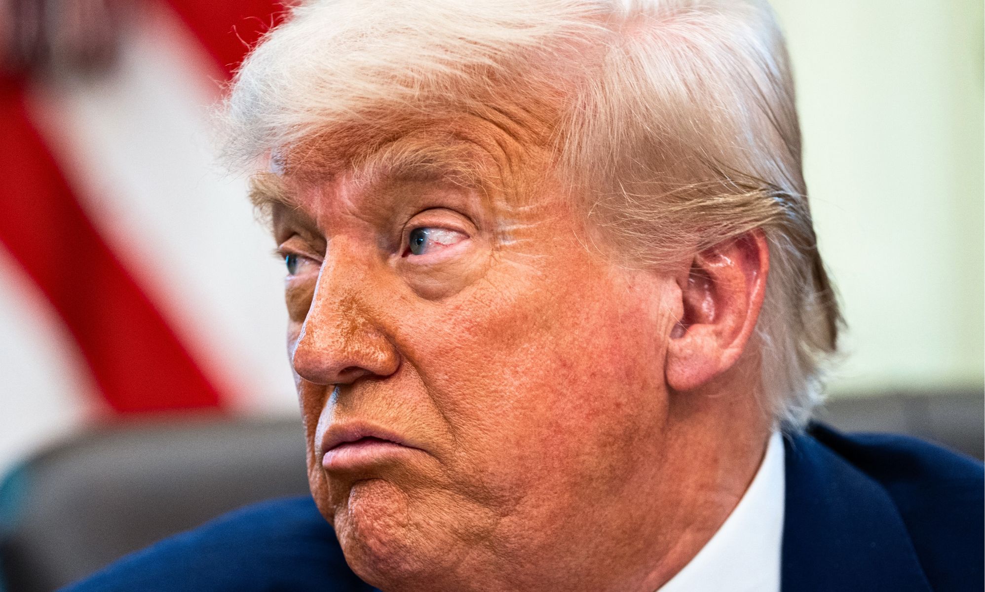 A side-profile image of Donald Trump.