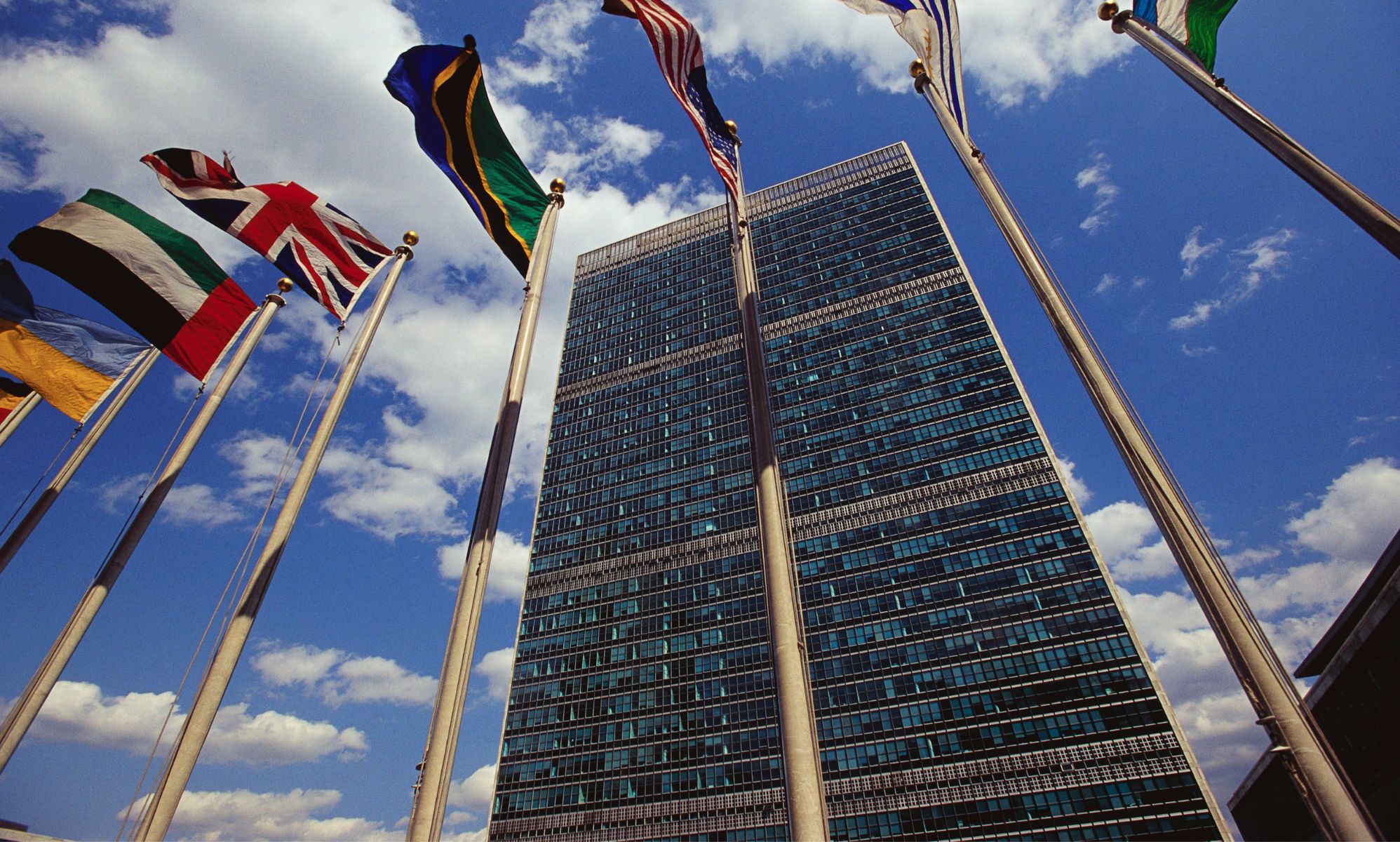 El informe del borrador de la ONU afirma que la disforia de género es "socialmente contagiosa"