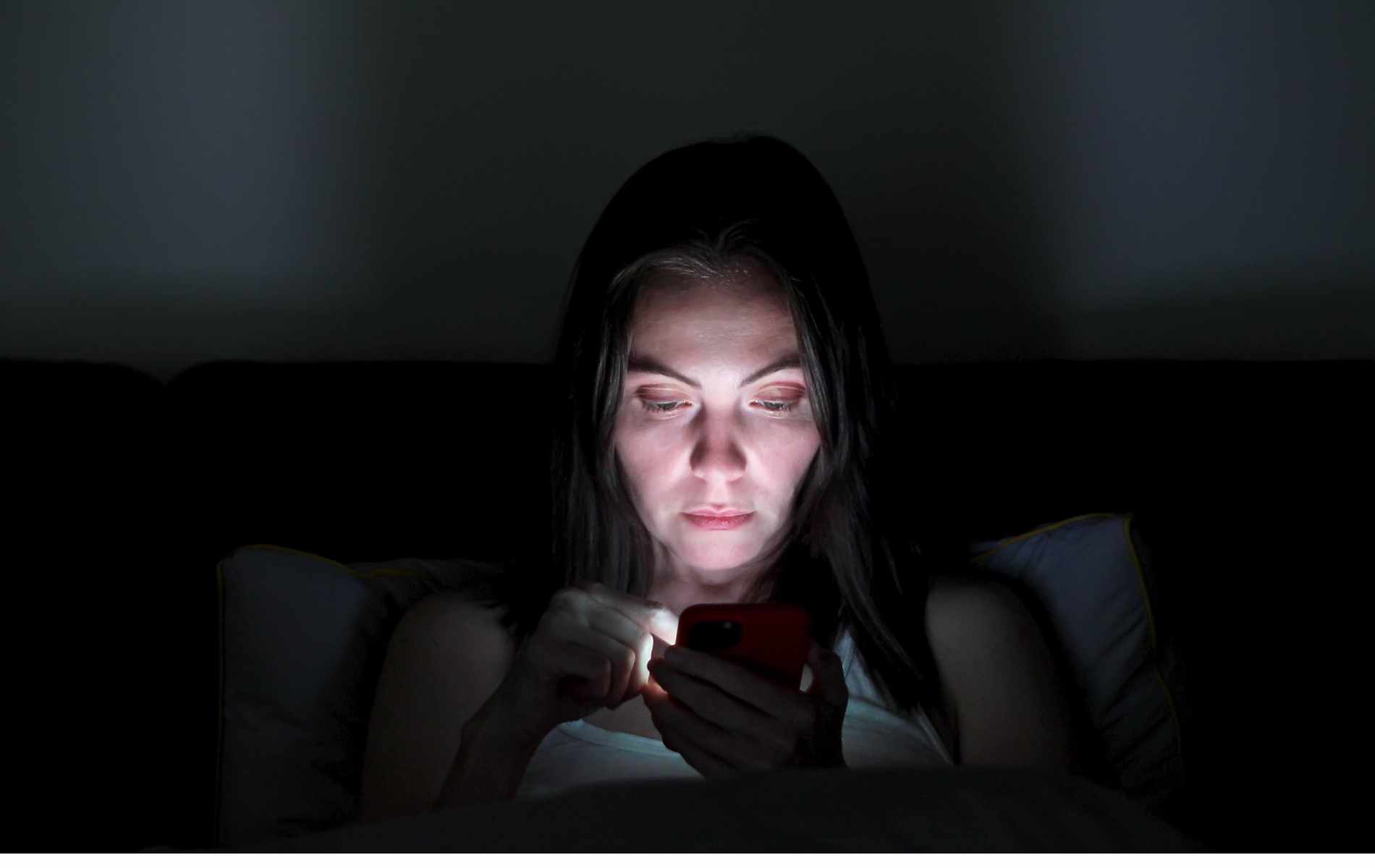 Los republicanos de Michigan intentan prohibir todos los contenidos porno en línea y trans