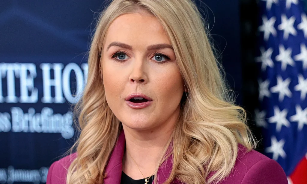 Karoline Leavitt, pictured speaking at a press briefing.