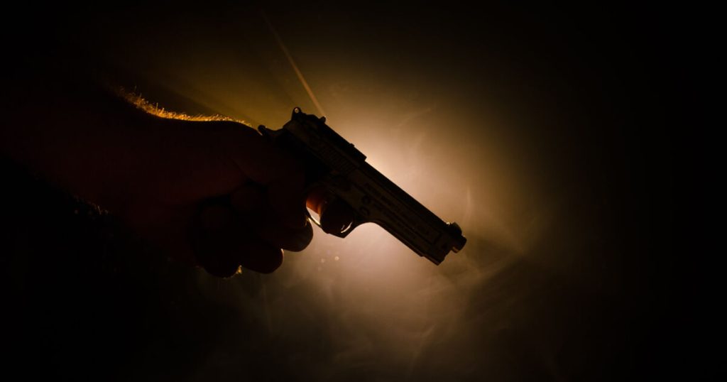Debemos poner fin a la locura del fácil acceso de armas en esta tierra de los aterrorizados y el hogar de los temerosos