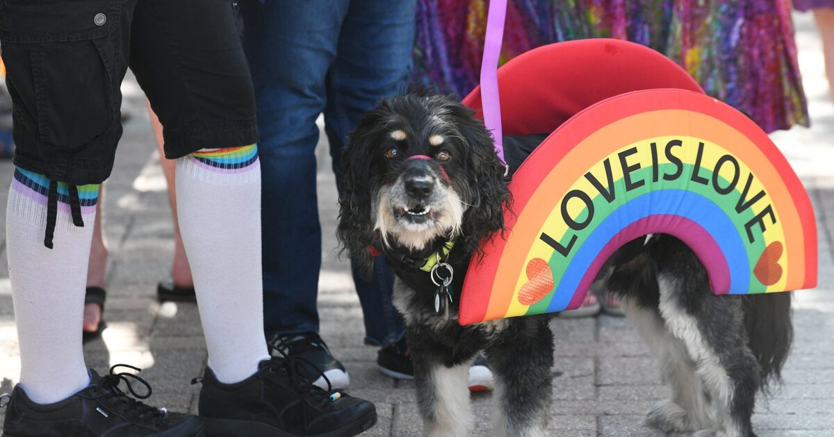 Las personas LGBTQ+ son más aceptadas de lo que éramos hace décadas, y eso lo cambia todo