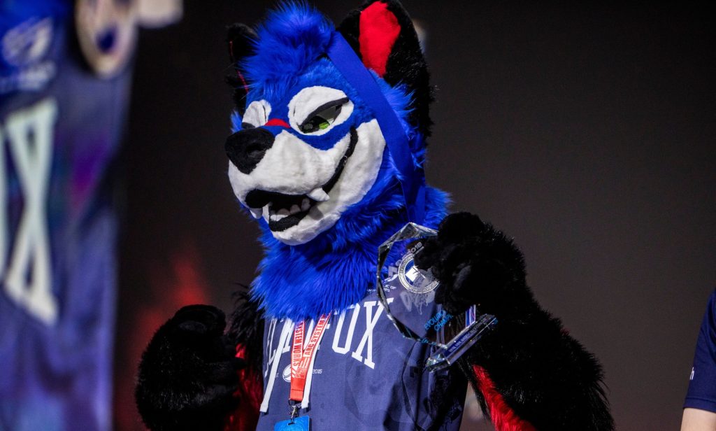 SonicFox in their blue furry suit.
