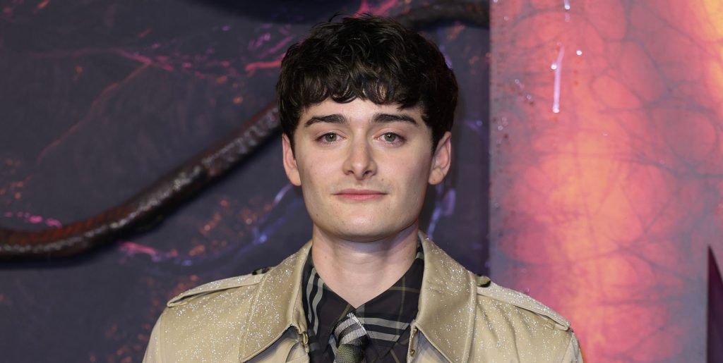 Noah Schnapp attends the