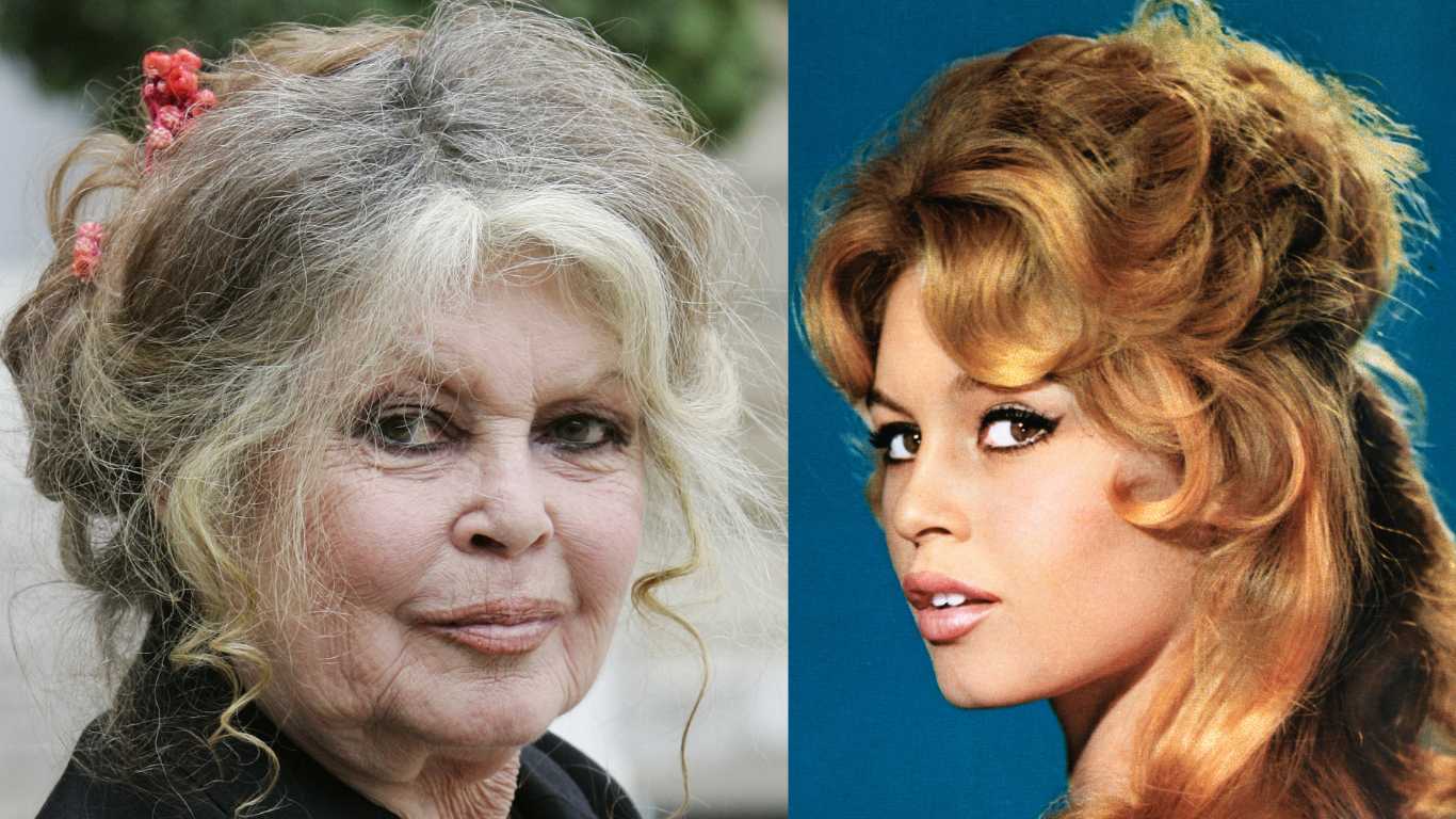 Brigitte Bardot has died at the age of 91