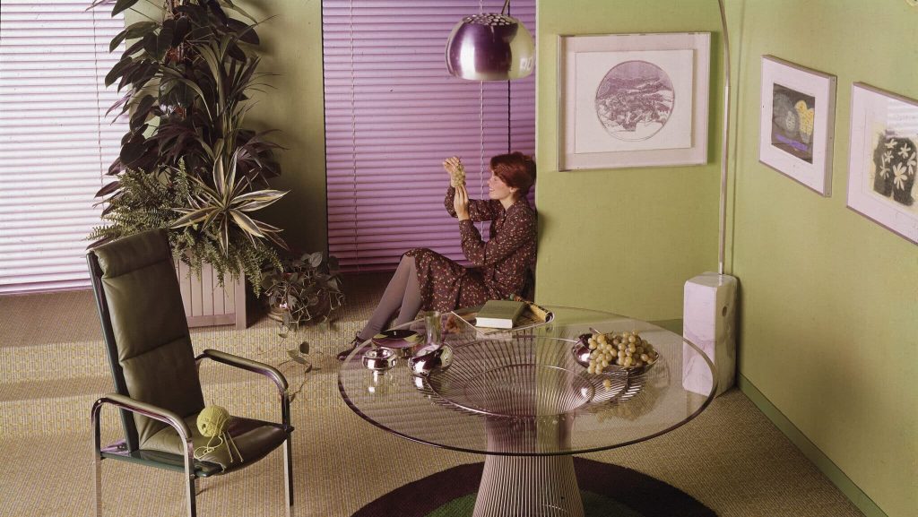 Clasificación de las plantas de interior de las personas homosexuales según sus signos del zodíaco, incluidas las que sobrevivirán a sus relaciones