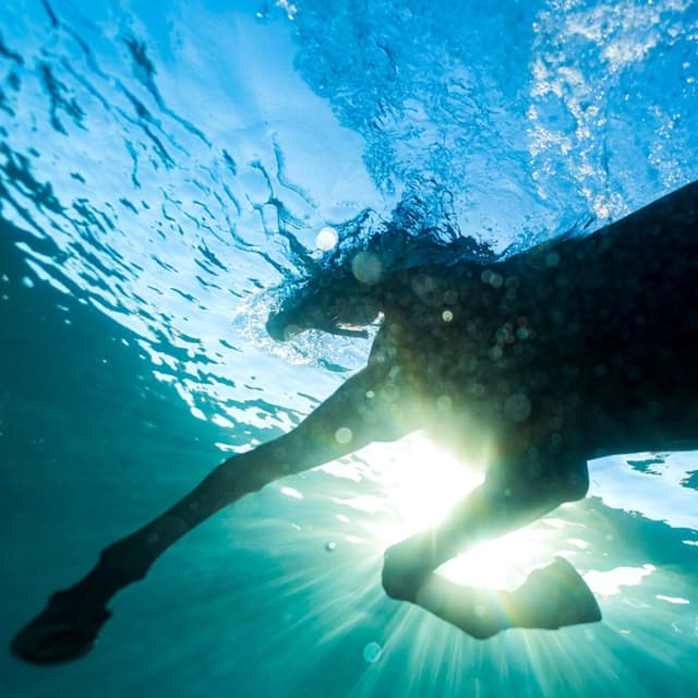 Lo que deseas de Dream Nails