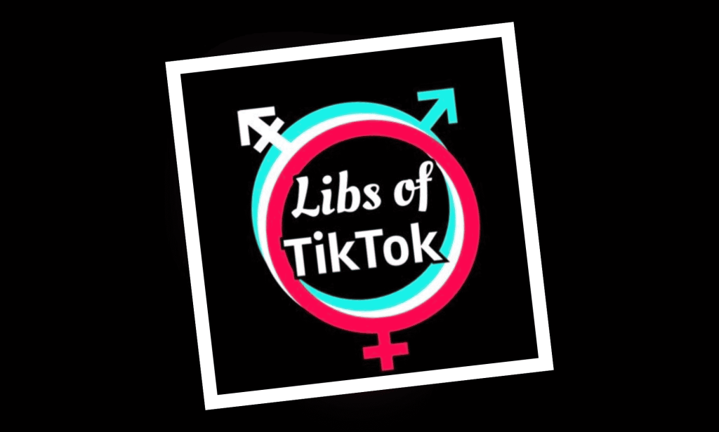 The logo of the controversial media pages Libs of TikTok.