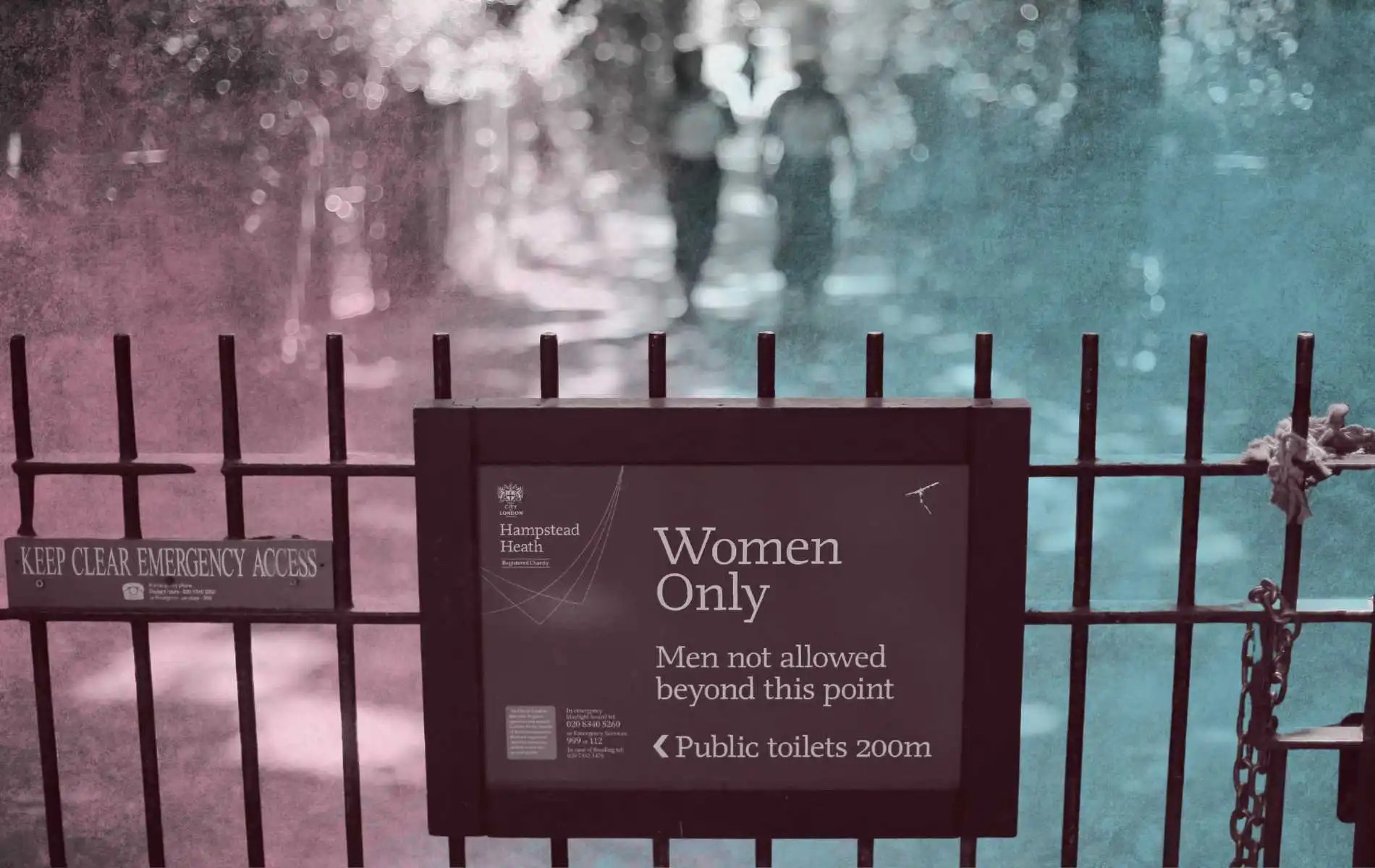 Sex Matters no puede presentar un desafío sobre la inclusión trans en los estanques de Hampstead Heath