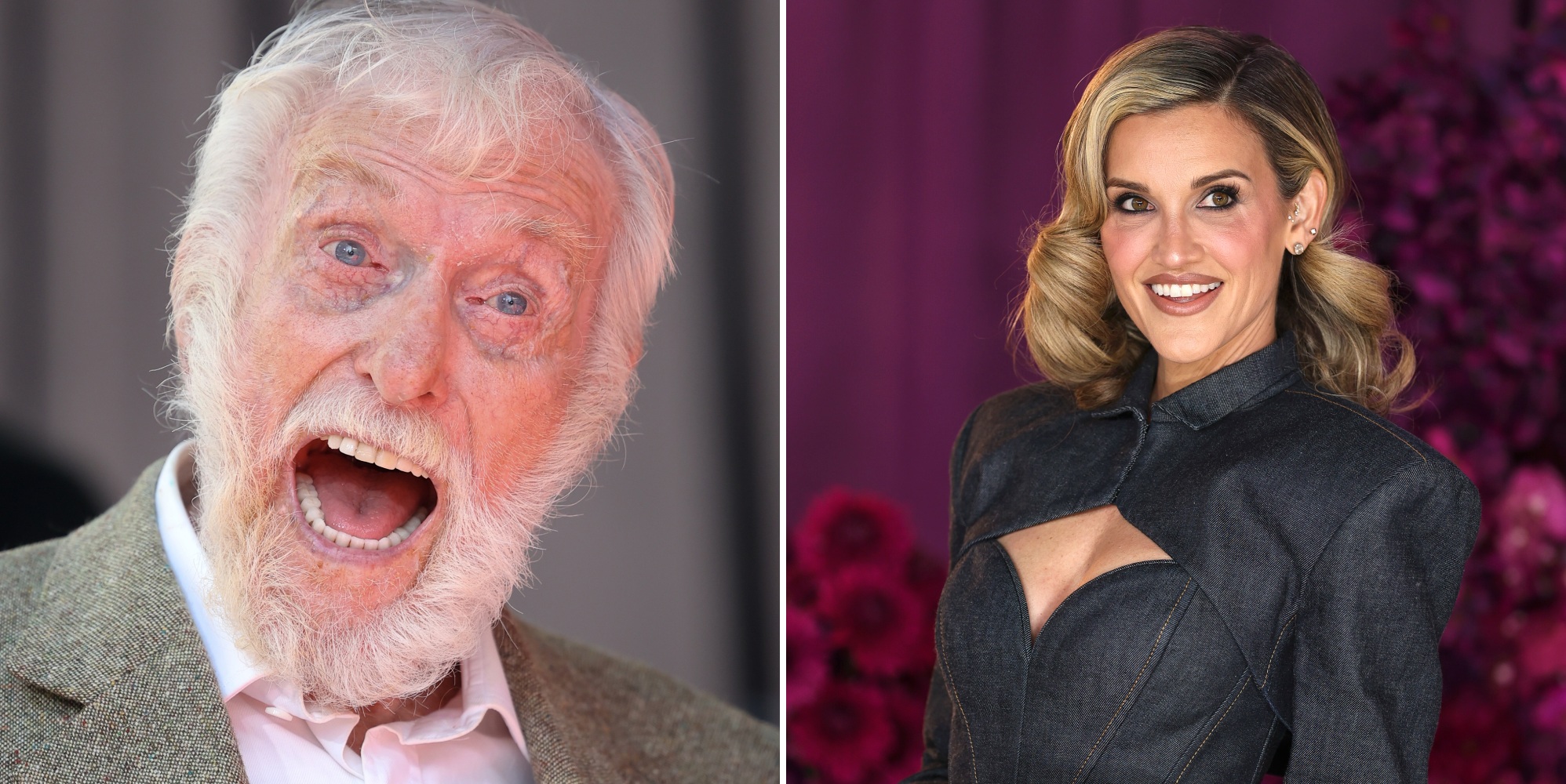 Dick Van Dyke and Ashley Roberts