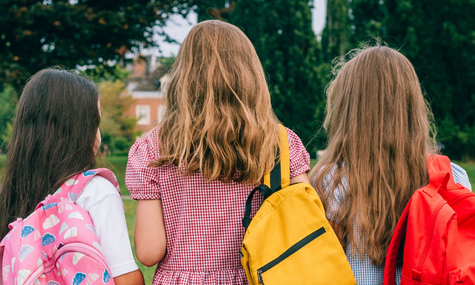 The back profile of three primary-age students.