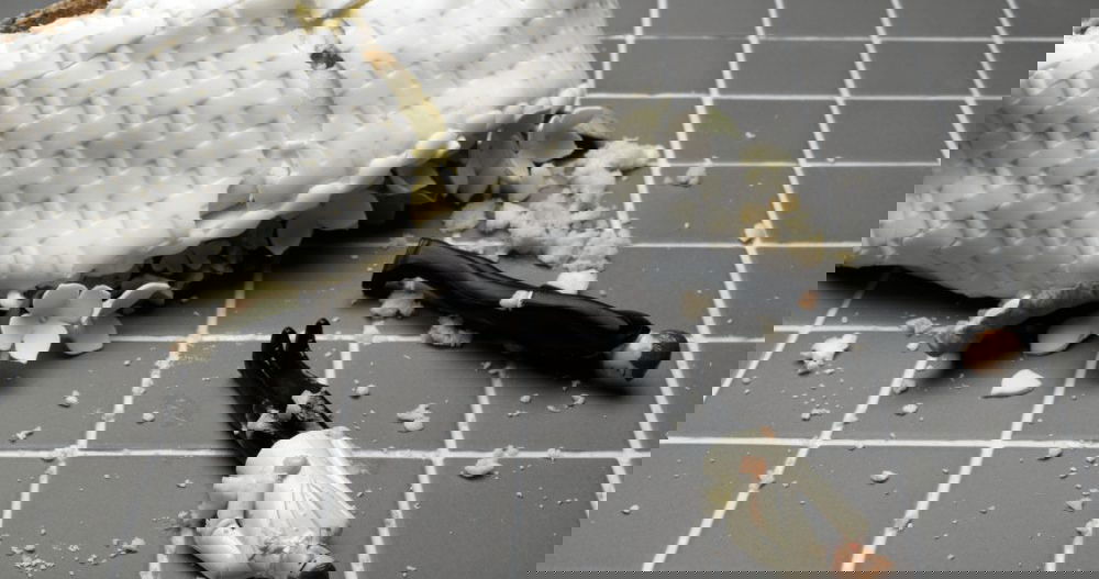 Un hombre vengativo supuestamente llamó a ICE por su exnovio y mintió acerca de que vendía metanfetamina