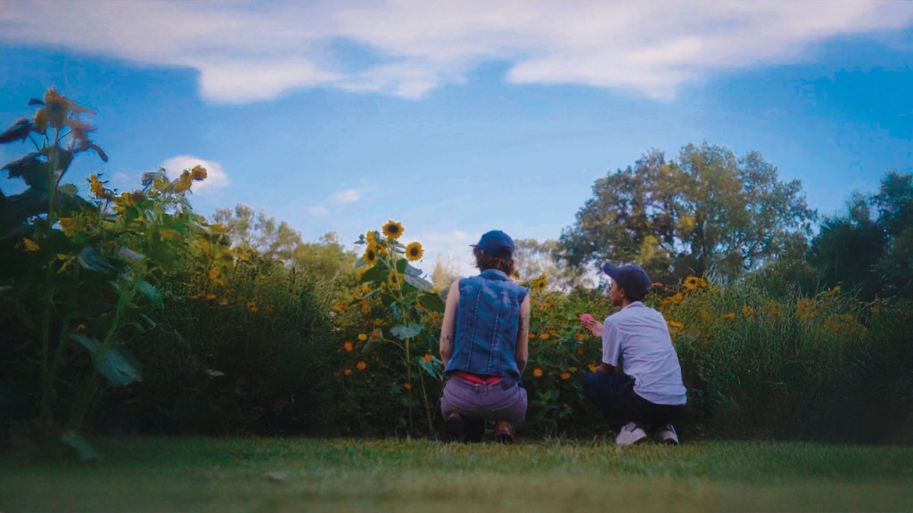 ¿En qué me convertiré? foto fija: dos personas con gorras azules mirando un campo de girasoles de espaldas a la cámara