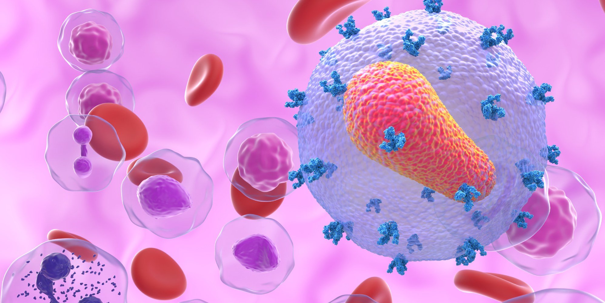 Un hombre 'probablemente curado' del VIH gracias a la mutación genética de su hermano en un trasplante