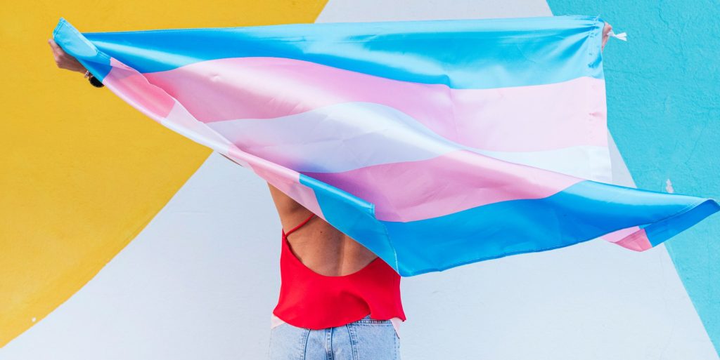 Person holding a trans pride flag