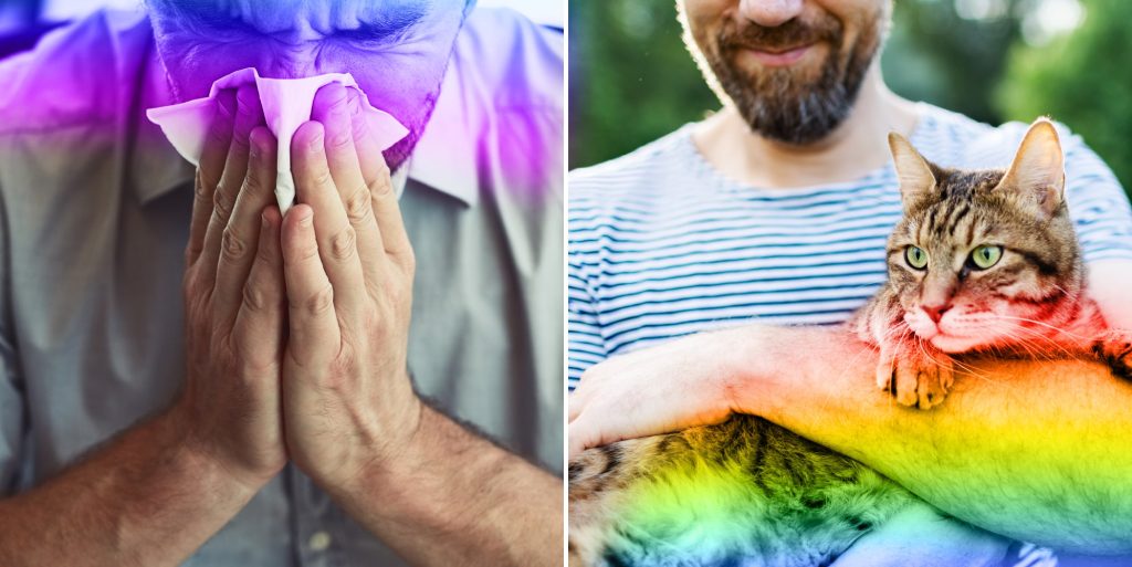 man blowing his nose/man holding a cat