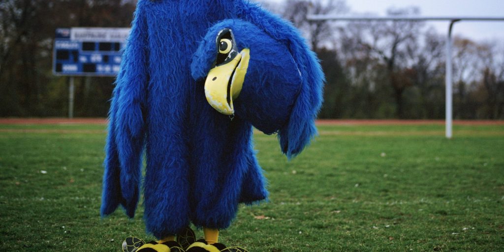 sports team mascot